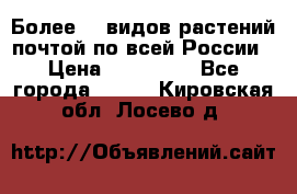 Более200 видов растений почтой по всей России › Цена ­ 100-500 - Все города  »    . Кировская обл.,Лосево д.